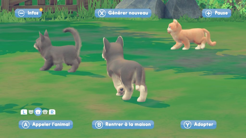 My Universe : My Baby Chiens & Chats