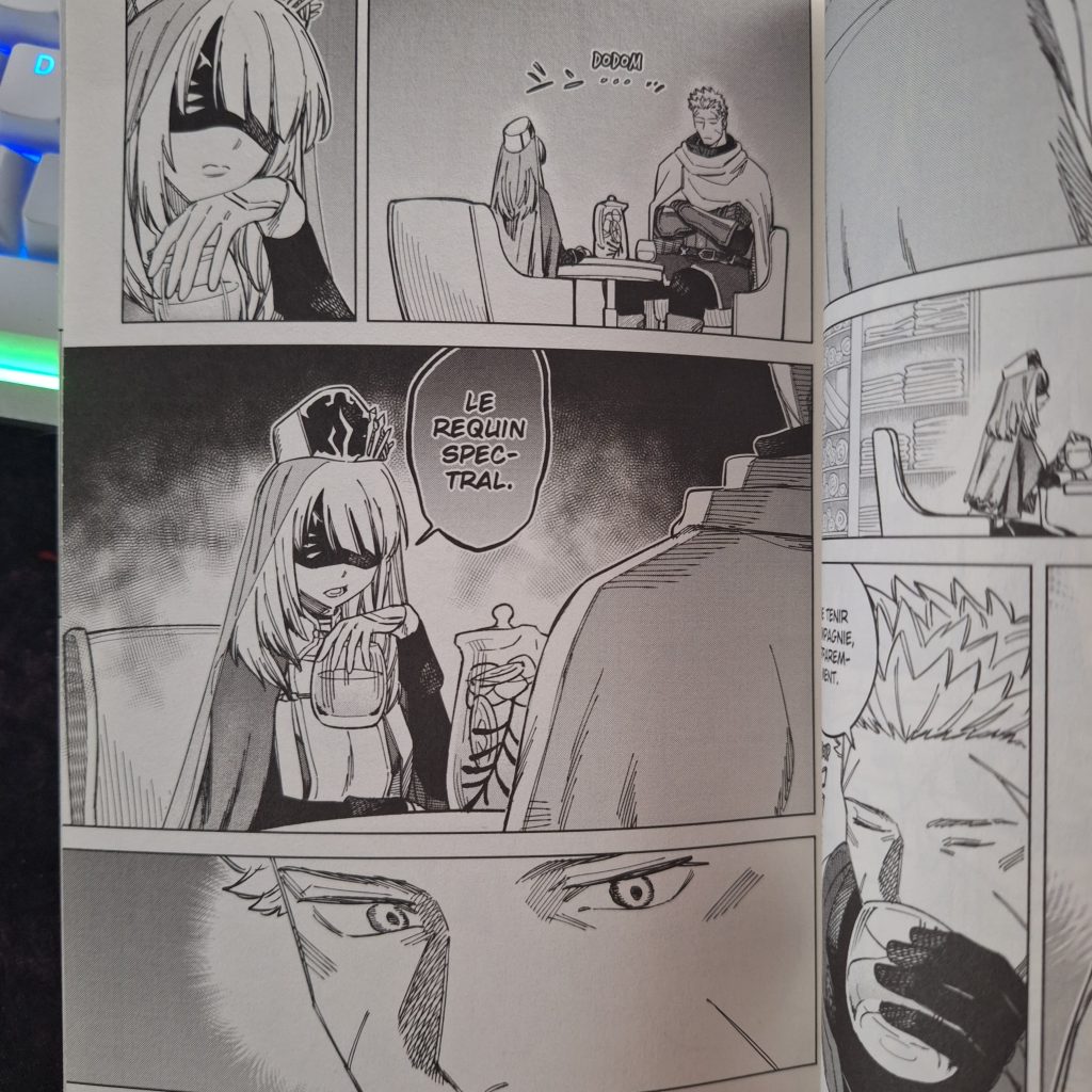 Witch and Mercenary T2