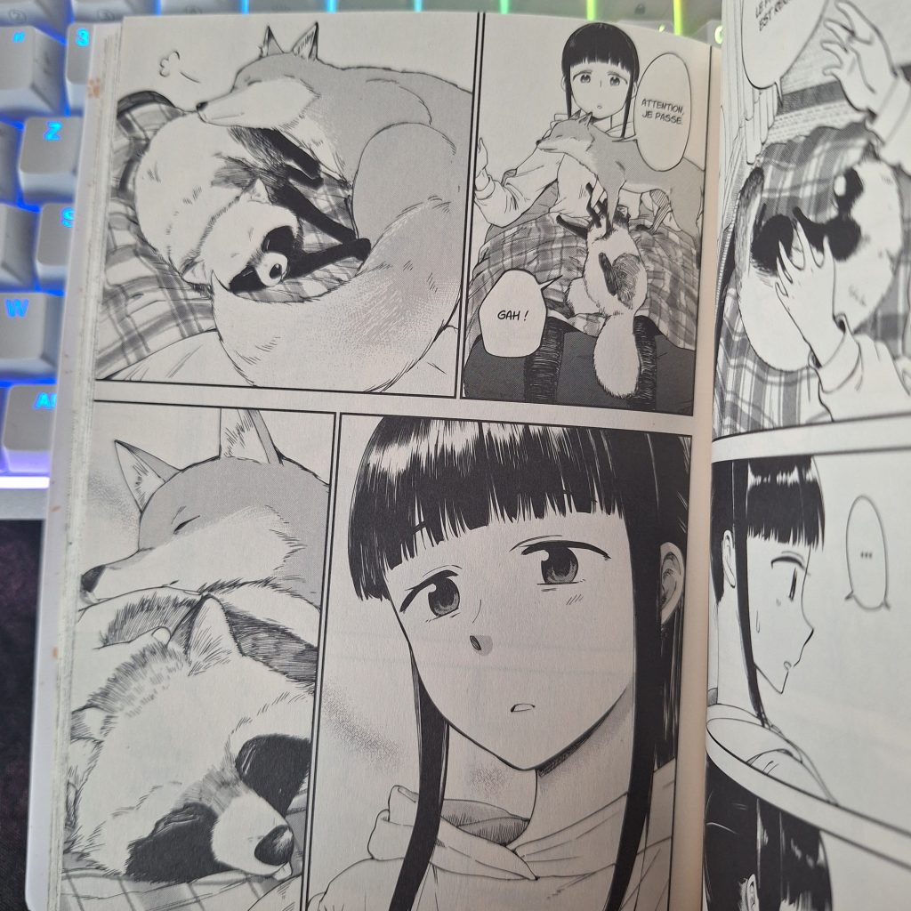Momo et Ichi : Petits esprits de la campagne
