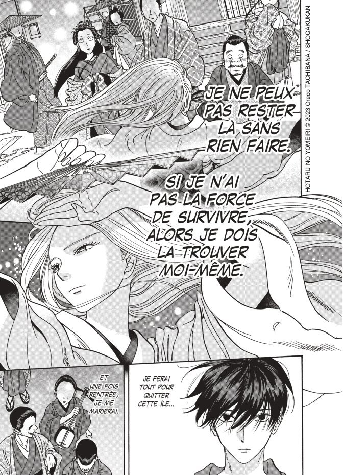 Les Noces des Lucioles