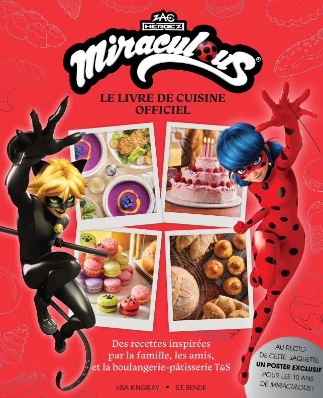 Capture d'écran 2026-04-13 183712