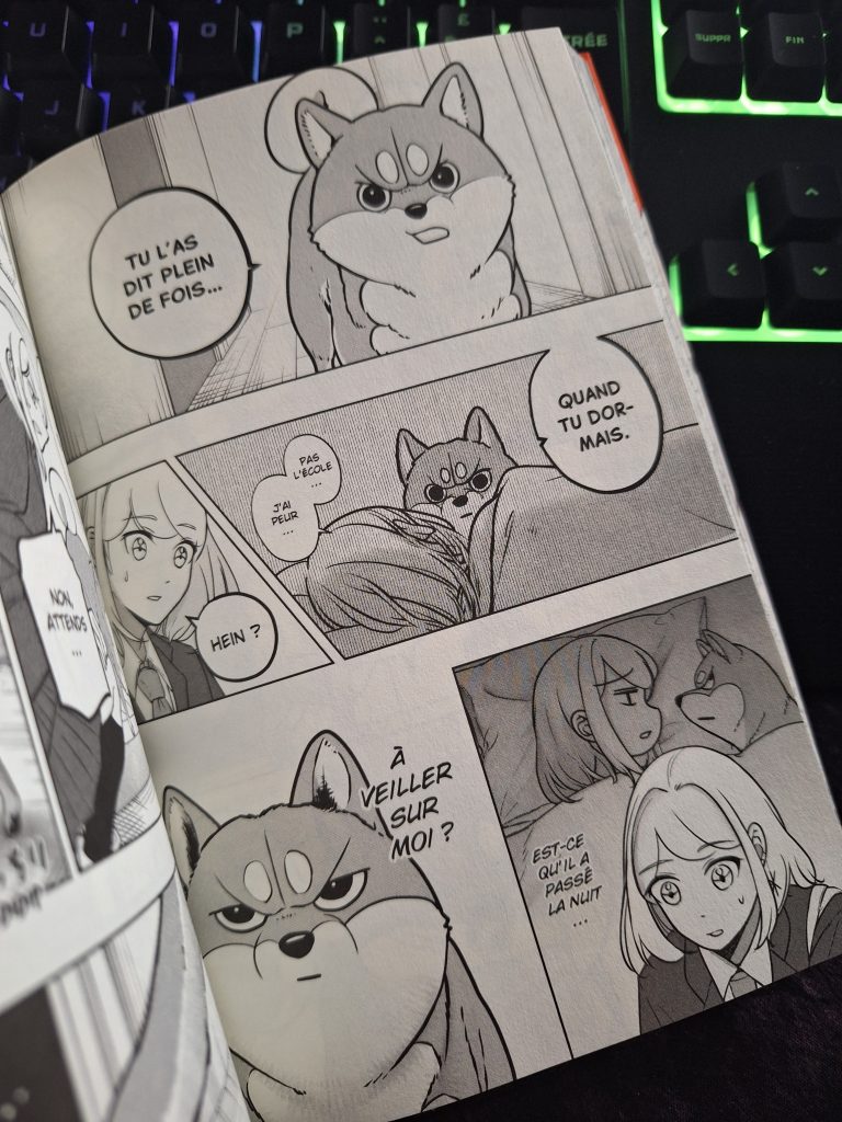 Shiba Inu Rooms T2